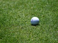 ball-fairway-golf-137523